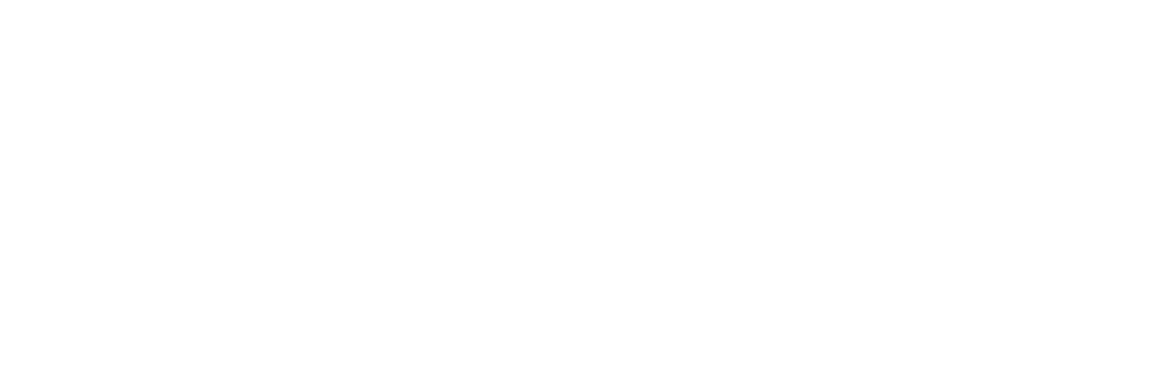 AULA VIRTUAL NEO-PLAN